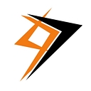 Onward Physical Therapy logo