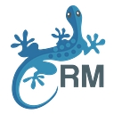 Research Masterminds logo