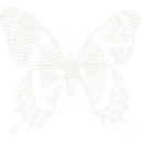 Houston Museum of Natural Science logo