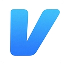 Vidguru logo