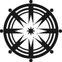 True North Insight logo