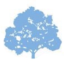 Lonestar Landscape logo