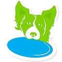 K9cation logo