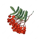 Rowan Scientific logo