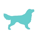 Pet Dermatology Clinic logo