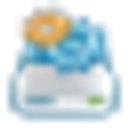 DiskBoss logo