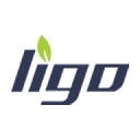 Treeligo logo