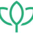 New View Psychiatry logo
