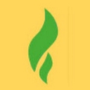 LYFE Accounting logo
