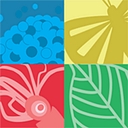 Catalogue of Life logo