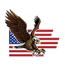 American Hawk Security logo