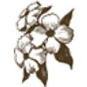 Wake Forest Jewelers logo