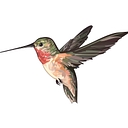 LifeSpace Gardens logo
