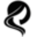 hairstyle99.com favicon