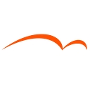Magicshine logo