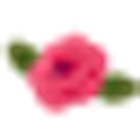Johnson Floral & Décor logo