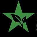 Lonestar Safe Pest logo