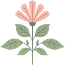 Caitlin Marie Design logo