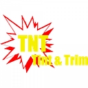 TNT Tint & Trim logo