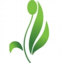 Netpharmacy logo