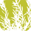 Olivaia's OLA logo