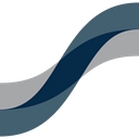 Platinum Systems logo