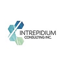 Intrepidium Consulting logo