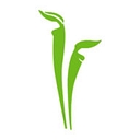 Lilium Floral Design logo