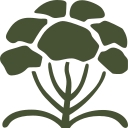 Secret Nature logo