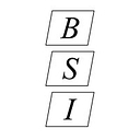 Brunswick Surveying, Inc. logo