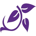 Purple Vine Dental logo