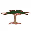 Anthony and Sons Landscape Design & Consulting logo
