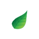 Nightingale Lawn and Landscape logo