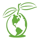 Linguava logo