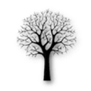 Centerstreet Psychology logo