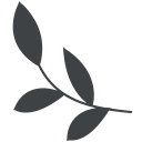 Sage and Oak Studios logo