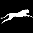 CheetahStand logo