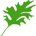 Spring Oak Property Management logo