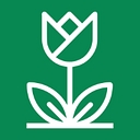 Tulip Carpet Cleaning logo