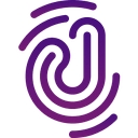 Datacy logo