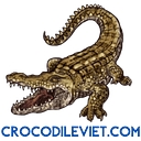 Crocodile Viet logo