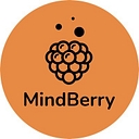 MindBerry logo