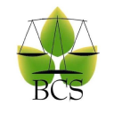 BCS, LLC logo