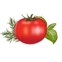 Waterfall Catering logo