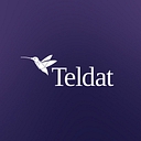 Teldat logo