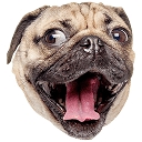 Doug the Pug logo