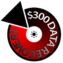 $300 Data Recovery logo
