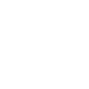 Econo Display logo