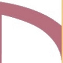 Nirvana Institute logo