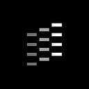 Synplogen logo